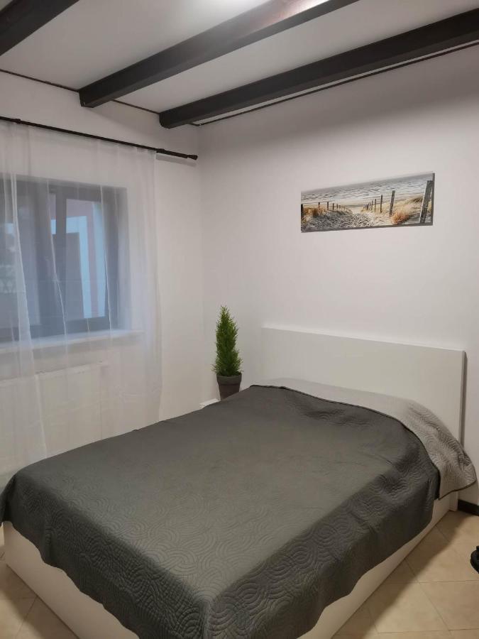 Urocze Studia W Lomiankach, 1- Z Sauna I Tarasem, 2- Z Kominkiem, 3- Ekonomiczne, 7Km Metro Mlociny Warszawa Łomianki 外观 照片