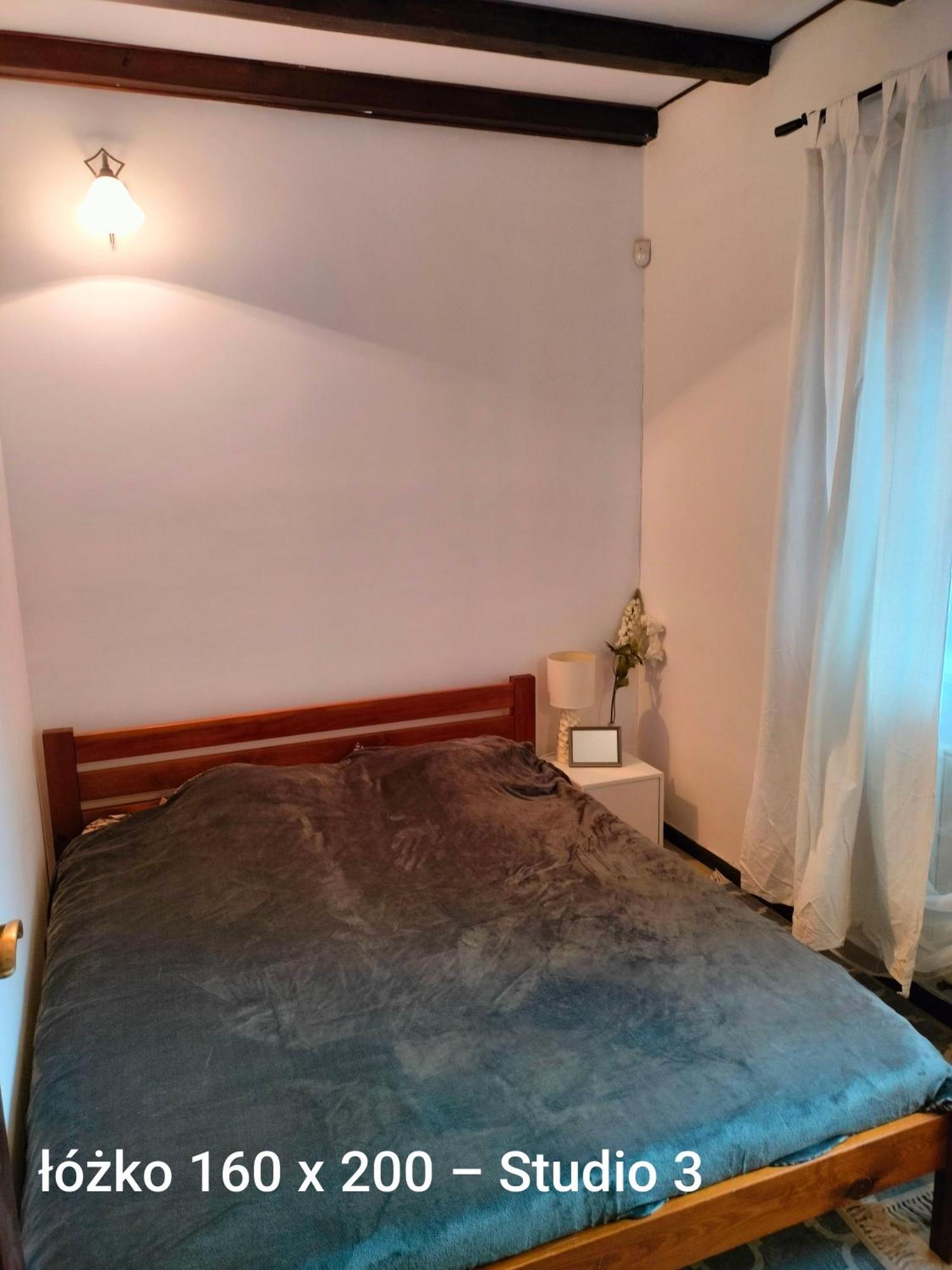 Urocze Studia W Lomiankach, 1- Z Sauna I Tarasem, 2- Z Kominkiem, 3- Ekonomiczne, 7Km Metro Mlociny Warszawa Łomianki 外观 照片