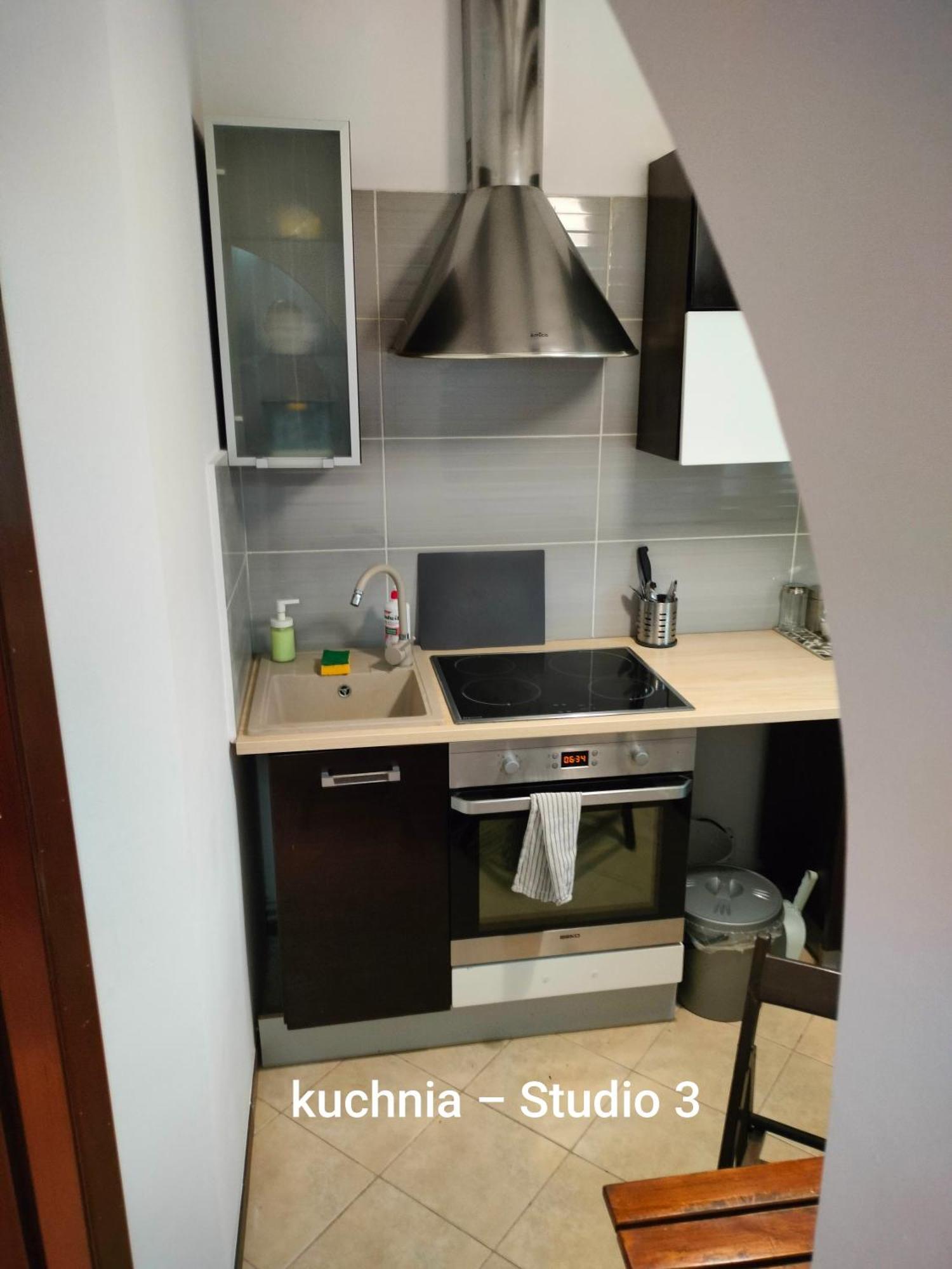 Urocze Studia W Lomiankach, 1- Z Sauna I Tarasem, 2- Z Kominkiem, 3- Ekonomiczne, 7Km Metro Mlociny Warszawa Łomianki 外观 照片
