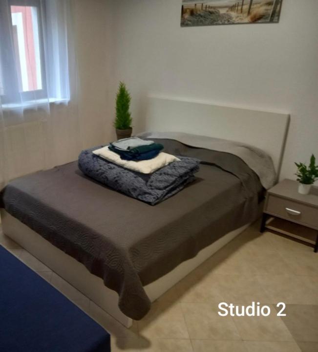 Urocze Studia W Lomiankach, 1- Z Sauna I Tarasem, 2- Z Kominkiem, 3- Ekonomiczne, 7Km Metro Mlociny Warszawa Łomianki 外观 照片