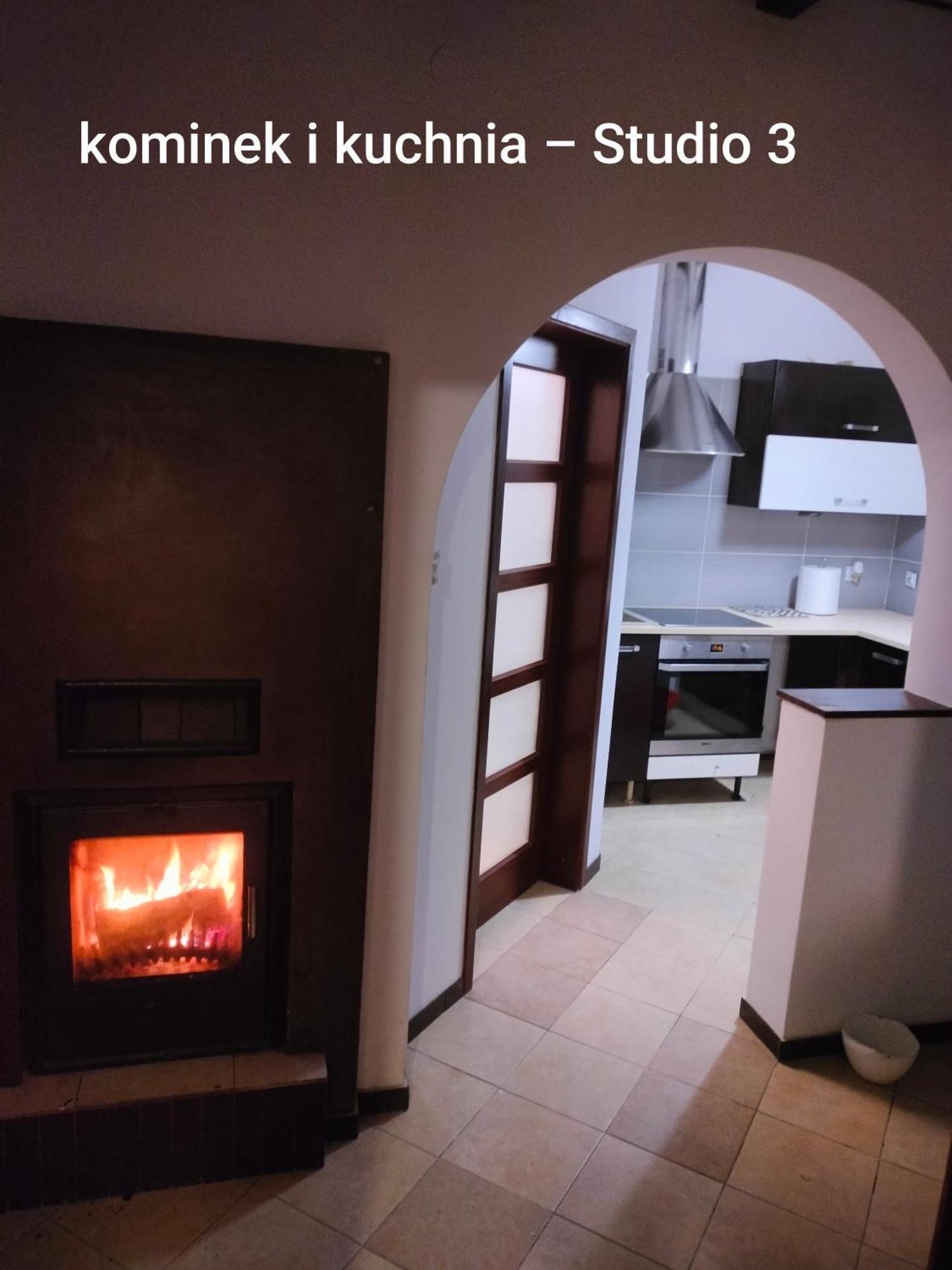 Urocze Studia W Lomiankach, 1- Z Sauna I Tarasem, 2- Z Kominkiem, 3- Ekonomiczne, 7Km Metro Mlociny Warszawa Łomianki 外观 照片